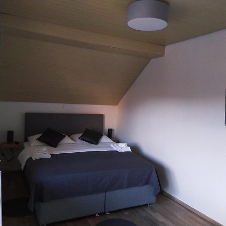 Apartment Trubarjeva33, Near Ljubljana, Free Parking Velike Lasce ภายนอก รูปภาพ