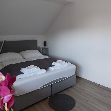 Apartment Trubarjeva33, Near Ljubljana, Free Parking Velike Lasce ภายนอก รูปภาพ