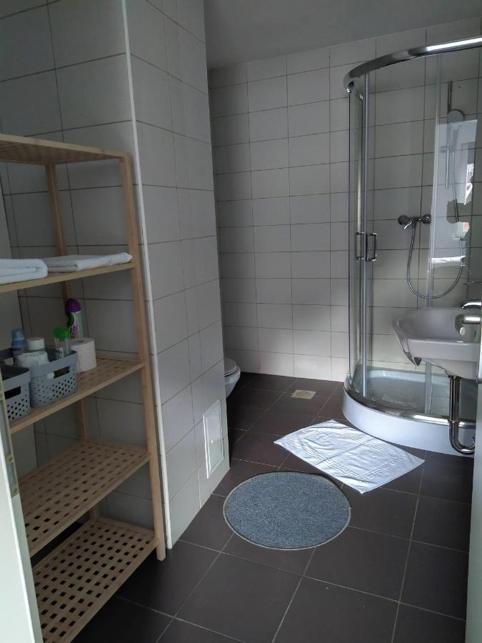 Apartment Trubarjeva33, Near Ljubljana, Free Parking Velike Lasce ภายนอก รูปภาพ